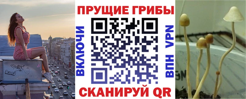 Галлюциногенные грибы GOLDEN TEACHER  даркнет сайт  Анива 